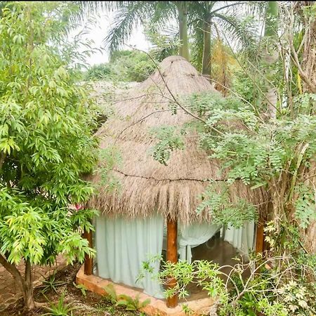 Oma Cancun - Holistic Healing Center Eksteriør bilde