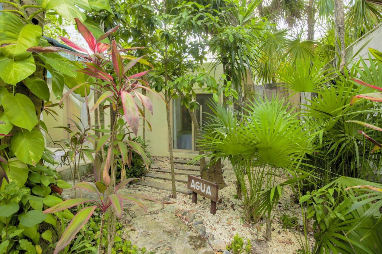 Oma Cancun - Holistic Healing Center Eksteriør bilde