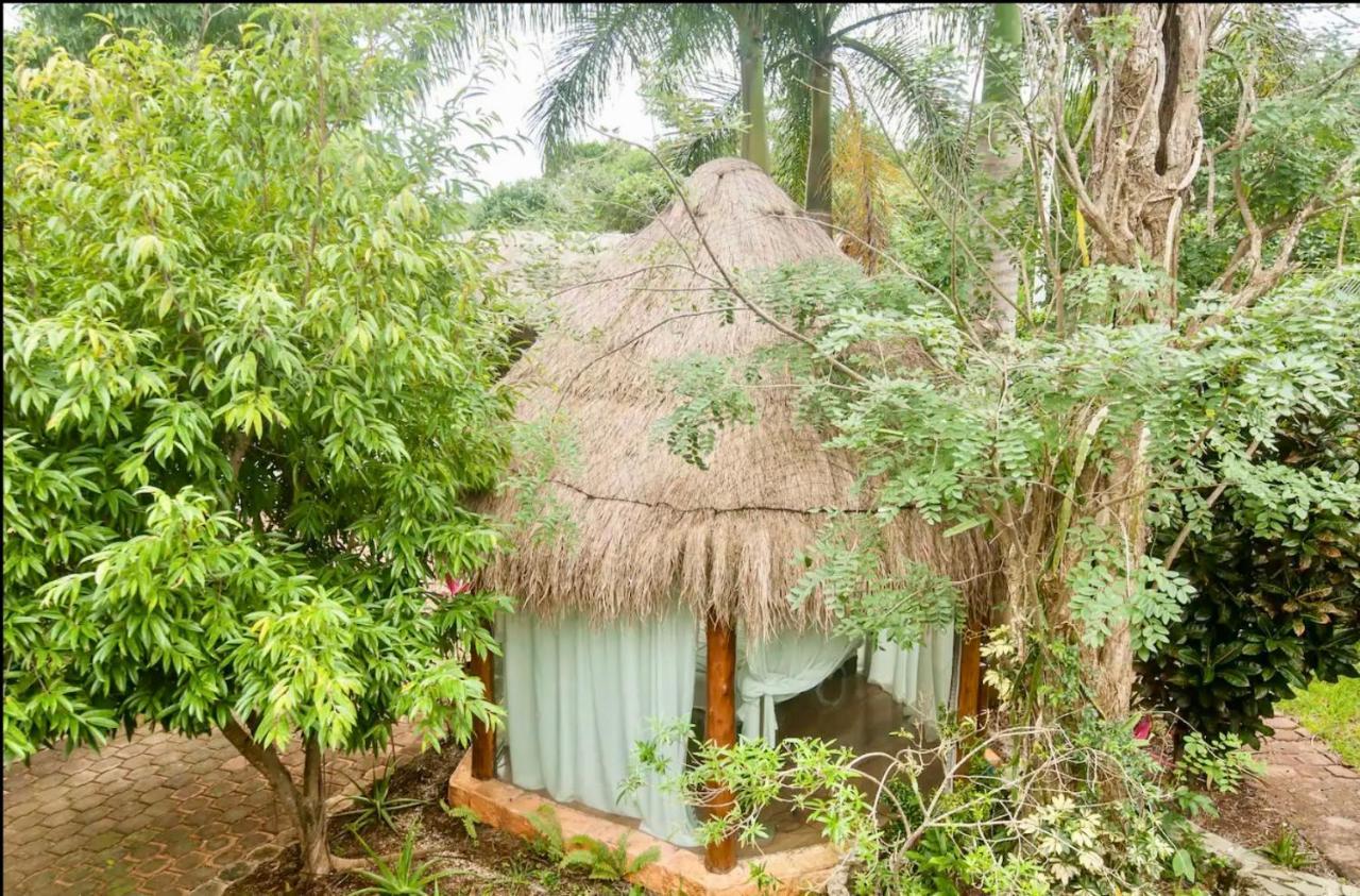 Oma Cancun - Holistic Healing Center Eksteriør bilde