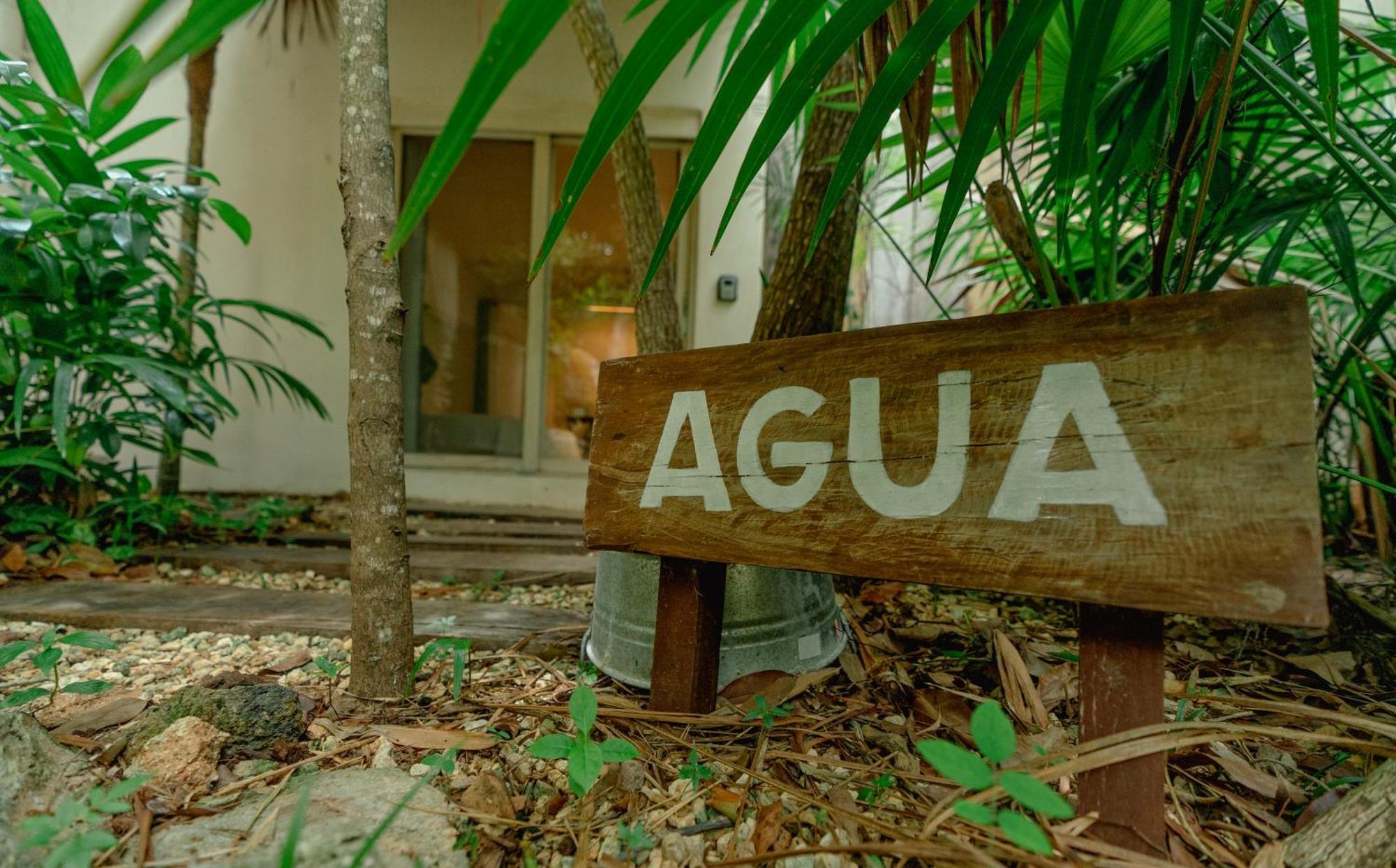 Oma Cancun - Holistic Healing Center Eksteriør bilde