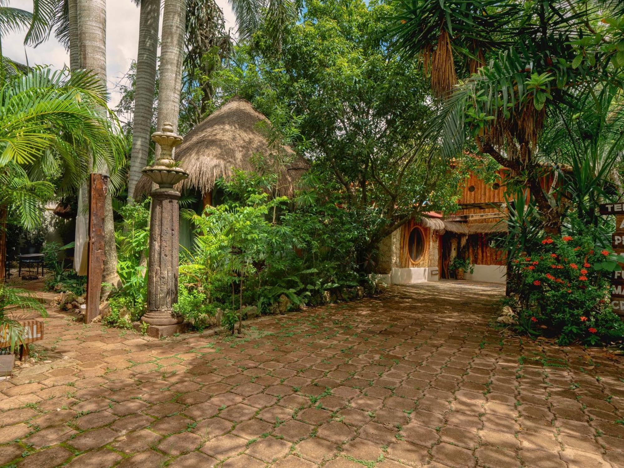 Oma Cancun - Holistic Healing Center Eksteriør bilde